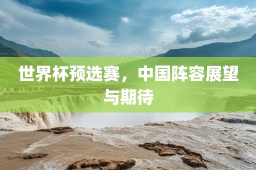 世界杯预选赛，中国阵容展望与期待