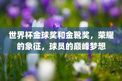 世界杯金球奖和金靴奖，荣耀的象征，球员的巅峰梦想
