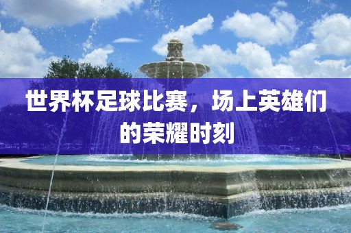 世界杯足球比赛，场上英雄漯河市盈旭机械设备有限公司们的荣耀时刻