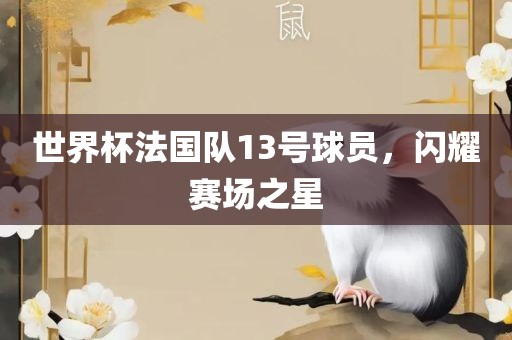 世界杯法国队13号球员，闪耀赛场之星