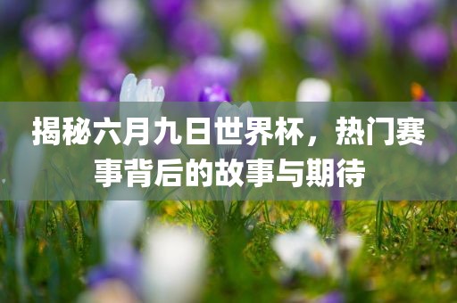 揭秘六月九日世界杯，热门漯河市盈旭机械设备有限公司赛事背后的故事与期待