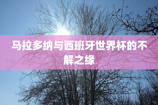 西班牙世界杯