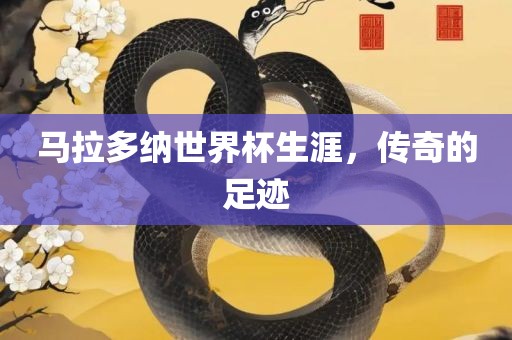 马拉多纳世界杯生涯，传奇的足迹