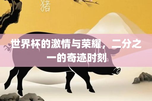 世界杯的激情与荣耀，二分之一的奇迹时刻