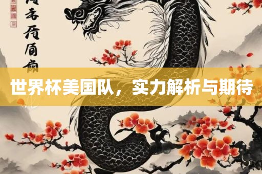 世界杯美国队，实力解析与期待