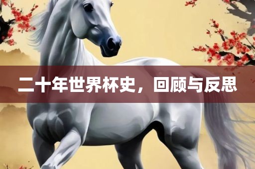二十年世界杯史，回顾与反思