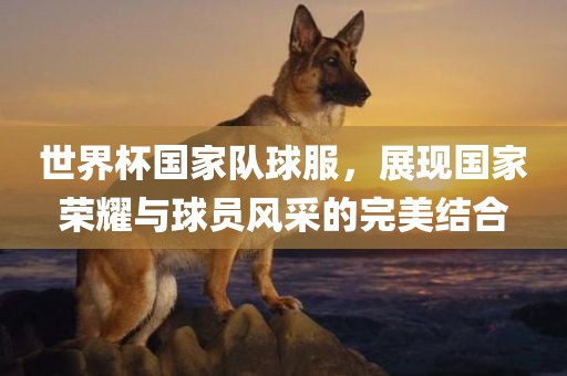 世界杯国家队球服，展现国家荣耀与球员风采的完美结合