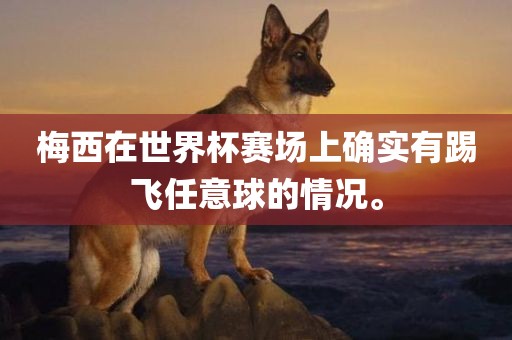 梅西在世界杯赛场上确实有踢飞任意球的情况。