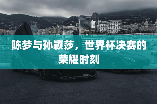 陈梦与孙颖莎，世界杯决赛的荣耀时刻