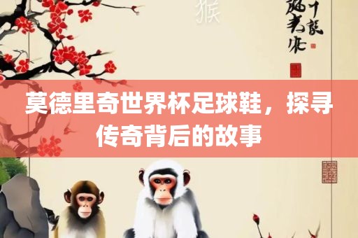 莫德里奇世界杯足球鞋，探寻传奇背后的故事
