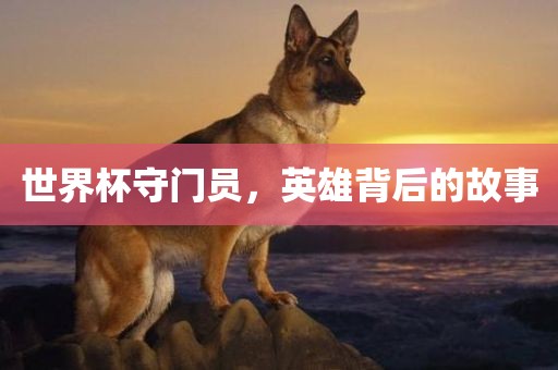 世界杯守门员，英雄背后的故事
