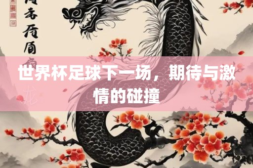 世界杯足球下一场，期待与激情的碰撞