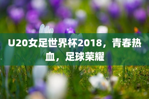 U20女足世界杯2018，青春热血，足球荣耀