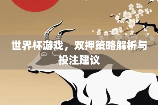 世界杯游戏，双押策略解析与投注建议