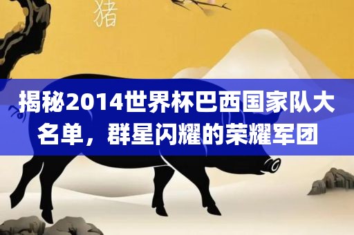 揭秘2014世界杯巴西国家队大名单，群星闪耀的荣耀军团