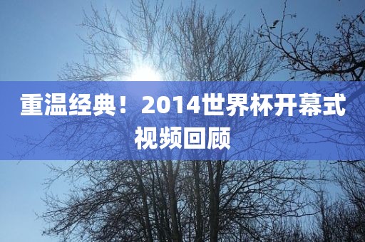 重温经典！2014世界杯开幕式视频回顾漯河市盈旭机械设备有限公司