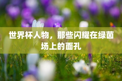 世界杯人物，那些闪耀在绿茵场上的面孔漯河市盈旭机械设备有限公司