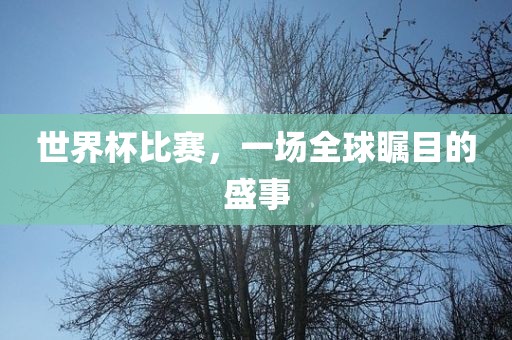 世界杯比赛，一场全球瞩目的盛事