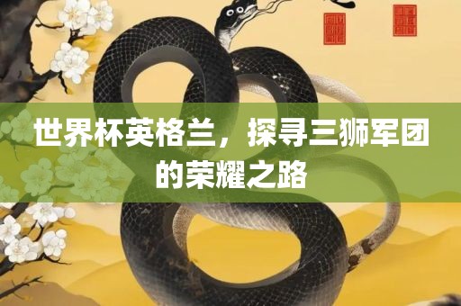 世界杯英格兰，探寻三狮军团的荣耀之路