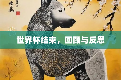 世界杯结束，回顾与反思