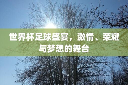 世界杯足球盛宴，激情、荣耀与梦想的舞台