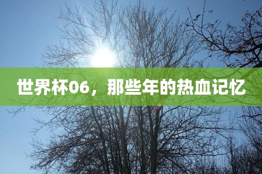 世界杯06，那些年的热血记忆