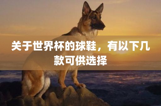 关于世界杯的球鞋，有以下几款可供选择