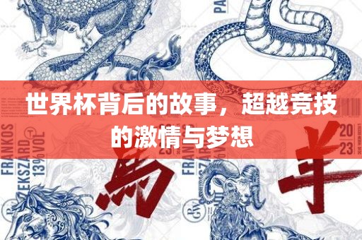 世界杯背后的故事，超越竞技的激情与梦想