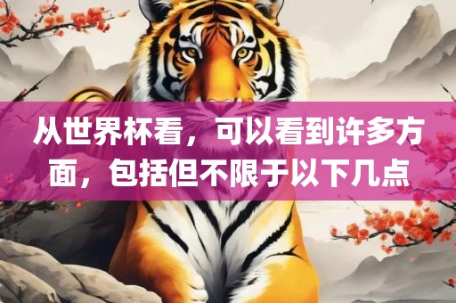 从世界杯看，可以看到许多方面，包括但不限于以下几点