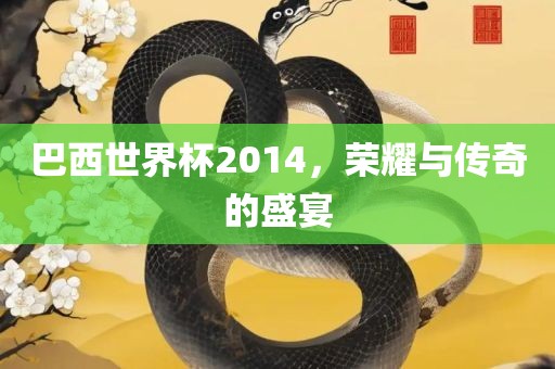 巴西世界杯2014，荣耀与传奇的盛宴