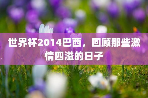 世界杯2014巴西，回顾那些激情四溢的日子