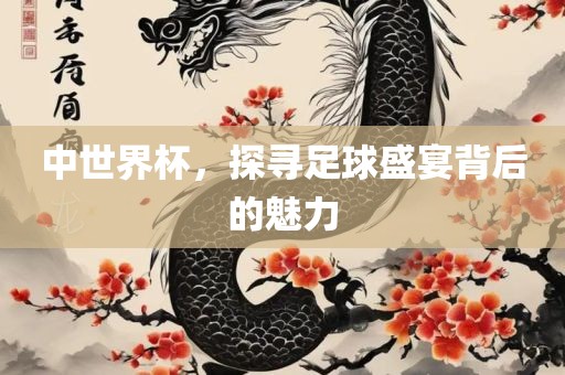 中世界杯，探寻足球盛宴背后的魅力