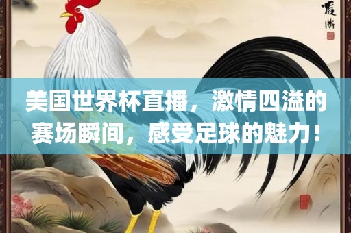 美国世界杯直播，激情四溢的赛场瞬间，感受足球的魅力！
