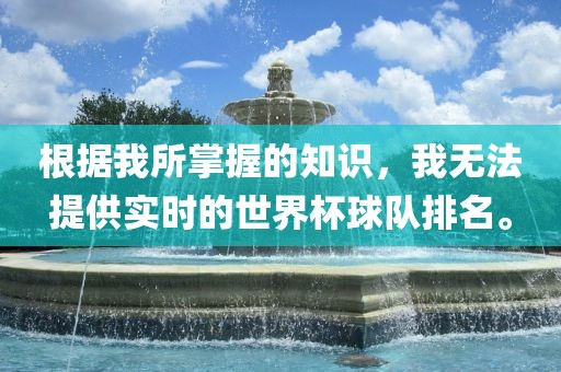 根据我所掌握的知识，我无法提供实时的世界杯球队排名。漯河市盈旭机械设备有限公司