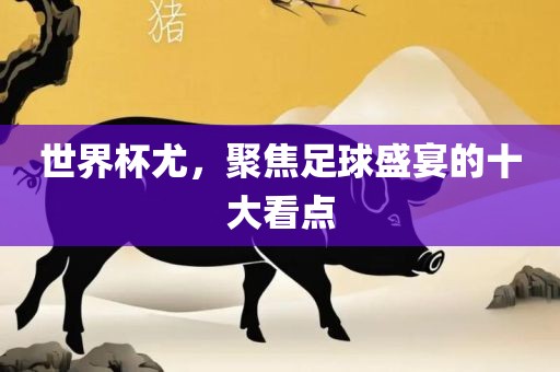 世界杯尤，聚焦足球盛宴的十大看点