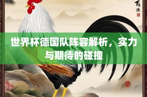 世界杯德国队阵容解析，实力与期待的碰撞