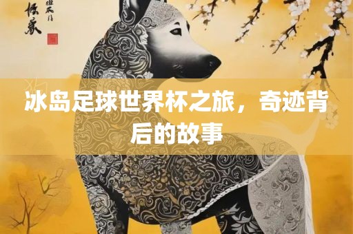 冰岛足球世界杯之旅，奇迹背后的故事