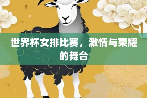 世界杯女排比赛，激情与荣耀的舞台