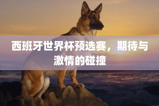 西班牙世界杯预选赛，期待与激情的碰撞