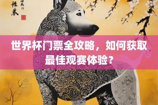世界杯门票全攻略，如何获取最佳观赛体验？