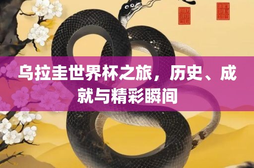 乌拉圭世界杯之旅，历史、成就与精彩瞬间