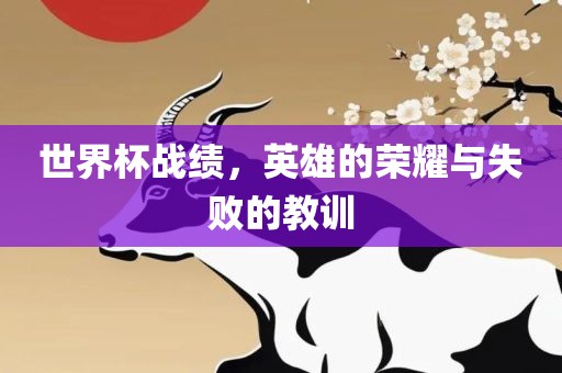 世界杯战绩，英雄的荣耀与失败的教训