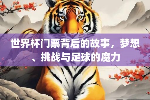 世界杯门票背后的故事，梦想、挑战与足球的魔力