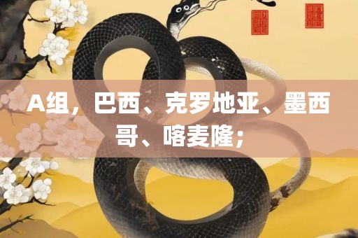 A组，巴西、克罗地亚、墨西哥、喀麦隆；