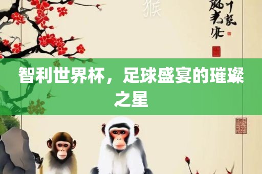 智利世界杯，足球盛宴的璀璨之星