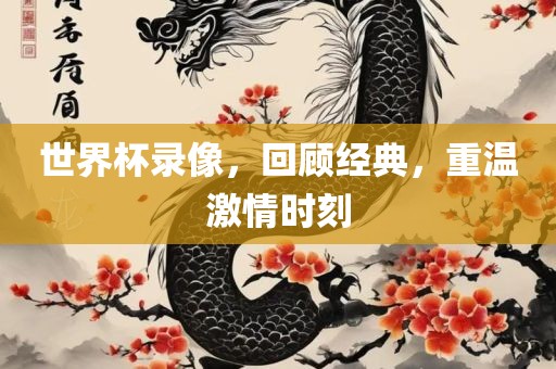 世界杯录像，回顾经典，重温激情时刻