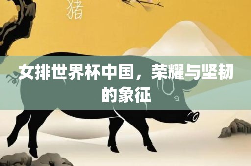 女排世界杯中国，荣耀与坚韧的象征