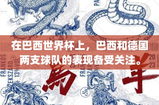 在巴西世界杯上，巴西和德国两支球队的表现备受关注。