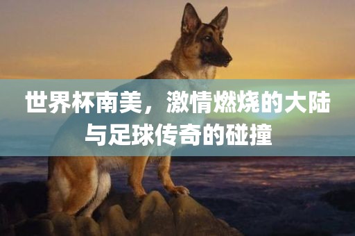 世界杯南美，激情燃烧的大陆与足球传奇的碰撞