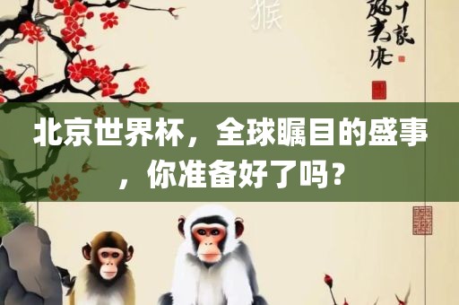 北京世界杯，全球瞩目的盛事，你准备好了吗？